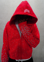 Sparkly Hoode Sweatshirt