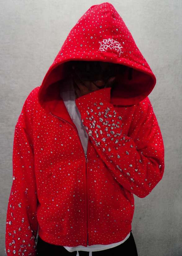 Sparkly Hoode Sweatshirt